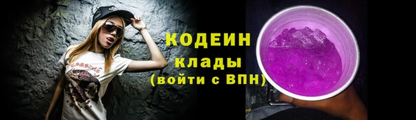 гидра Киренск