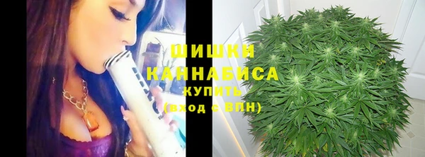 гидра Киренск