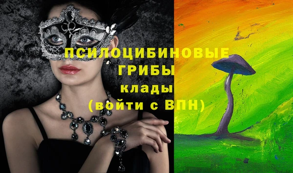 гидра Киренск